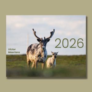 Calendrier 2026- Précommandes