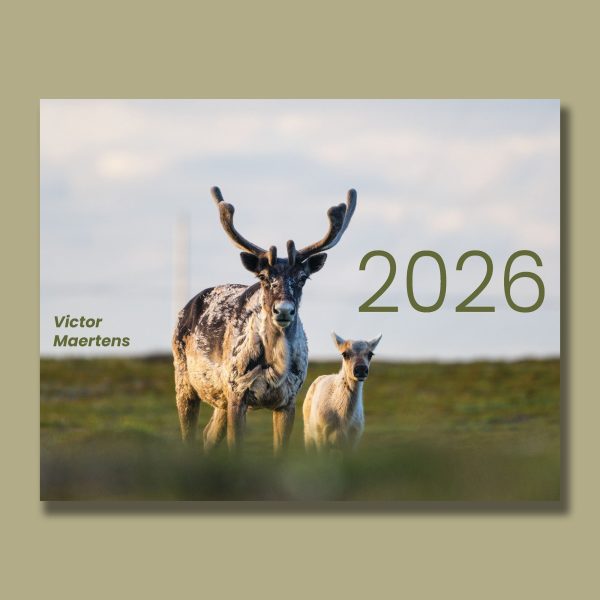 Calendrier 2026- Précommandes