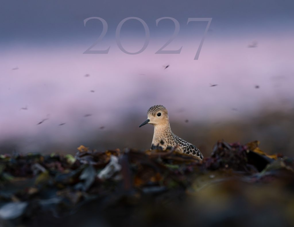 Calendrier 2027
