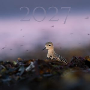 Calendrier 2027 – Image 1