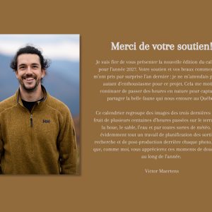Calendrier 2027 – Image 2